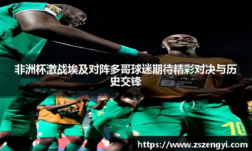 非洲杯激战埃及对阵多哥球迷期待精彩对决与历史交锋