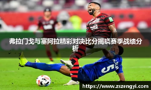 弗拉门戈与塞阿拉精彩对决比分揭晓赛季战绩分析